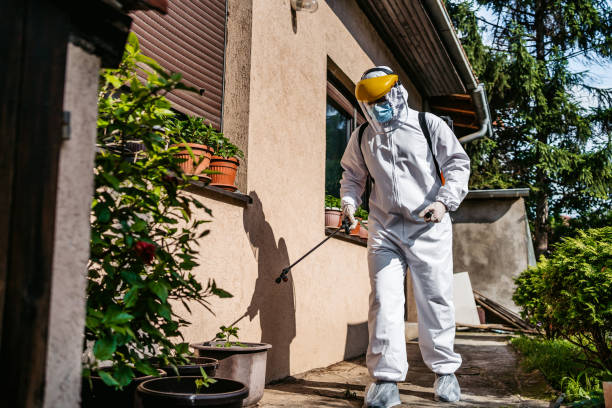 Best Pest Control Near Me  in Fallon, NV