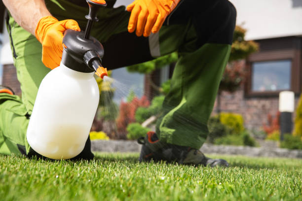 Best Pest Prevention Services  in Fallon, NV