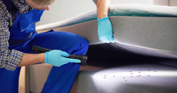 Best Flea Control Services  in Fallon, NV
