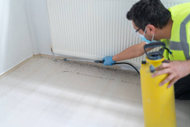 Best Pest Control Cost  in Fallon, NV